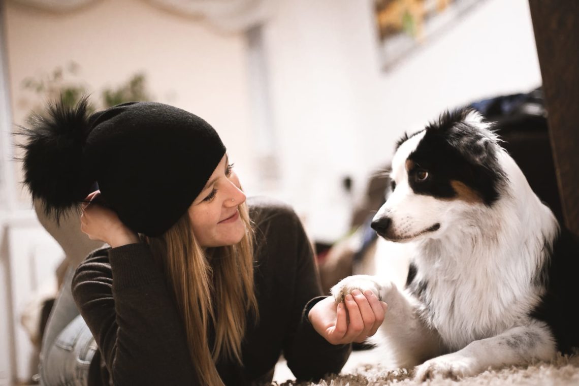 Aufmerksamkeitsübungen Hund