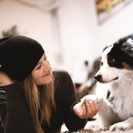 Aufmerksamkeitsübungen Hund