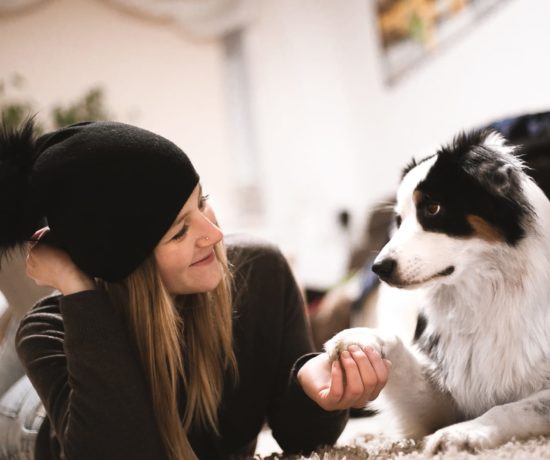 Aufmerksamkeitsübungen Hund