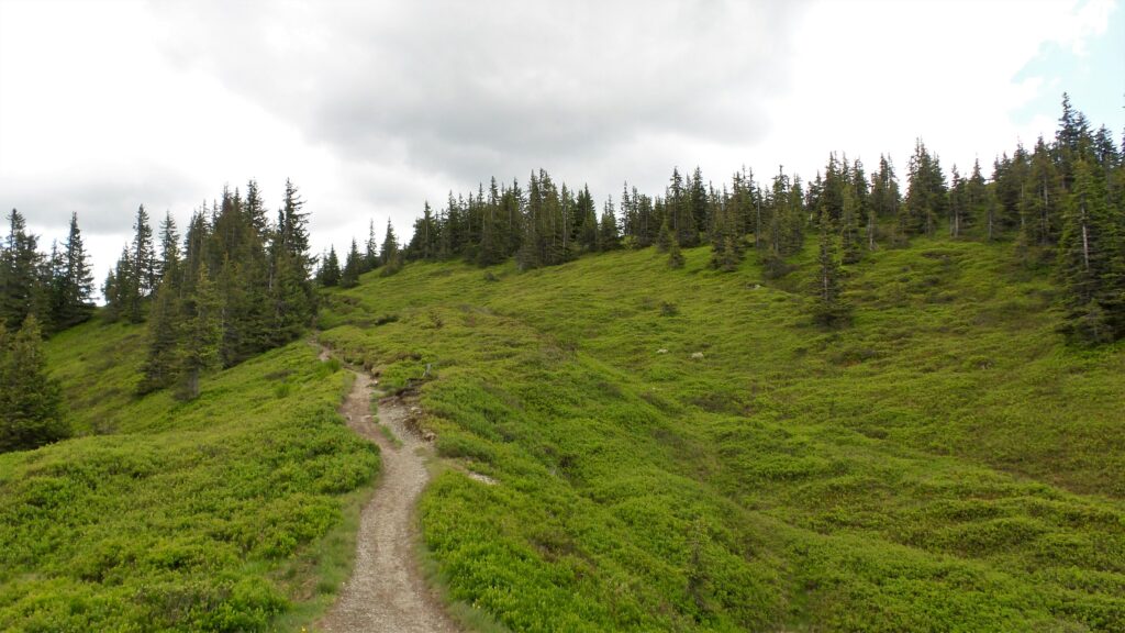 Wanderung Saalachtaler Höhenweg 