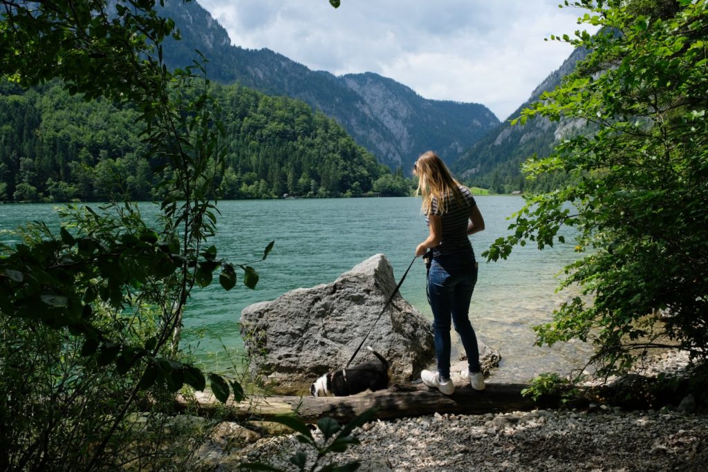 Leopoldsteinersee mit dem Welpen