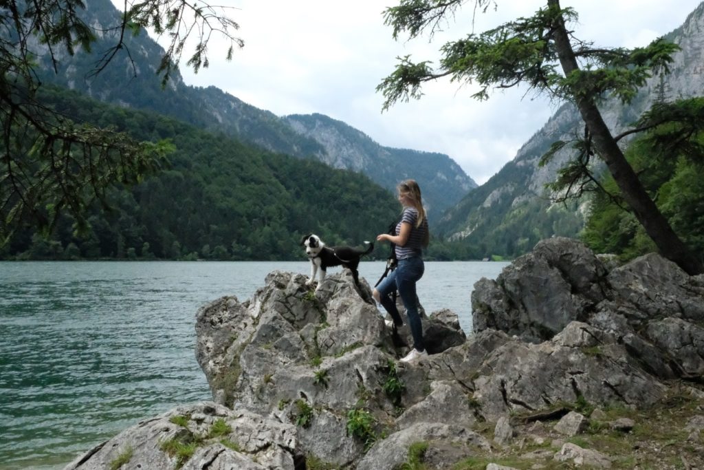 Leopoldsteinersee mit dem Welpen