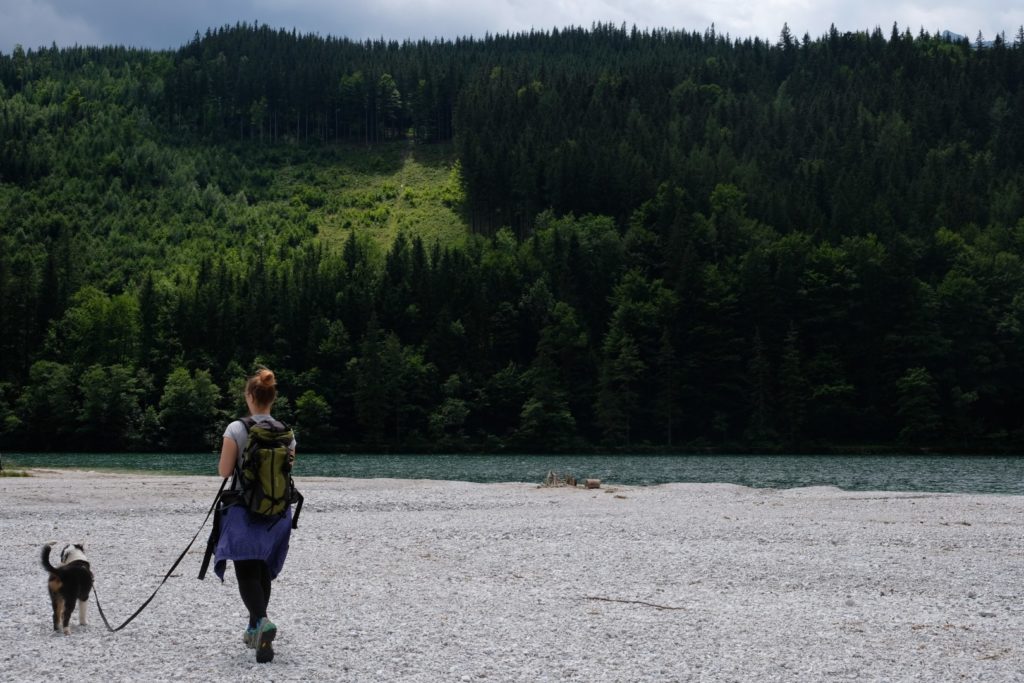 Leopoldsteinersee mit dem Welpen