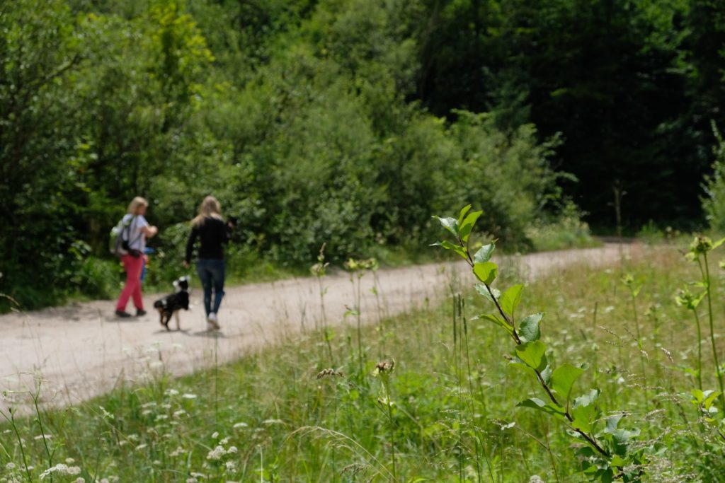 Rundweg in Eisenerz