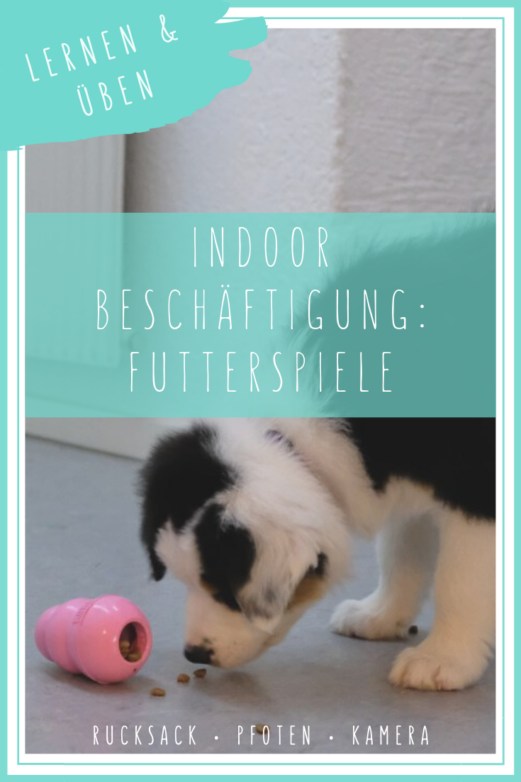 Futterspiele für den Hund Indoor Beschäftigung Rucksack ‧ Pfoten