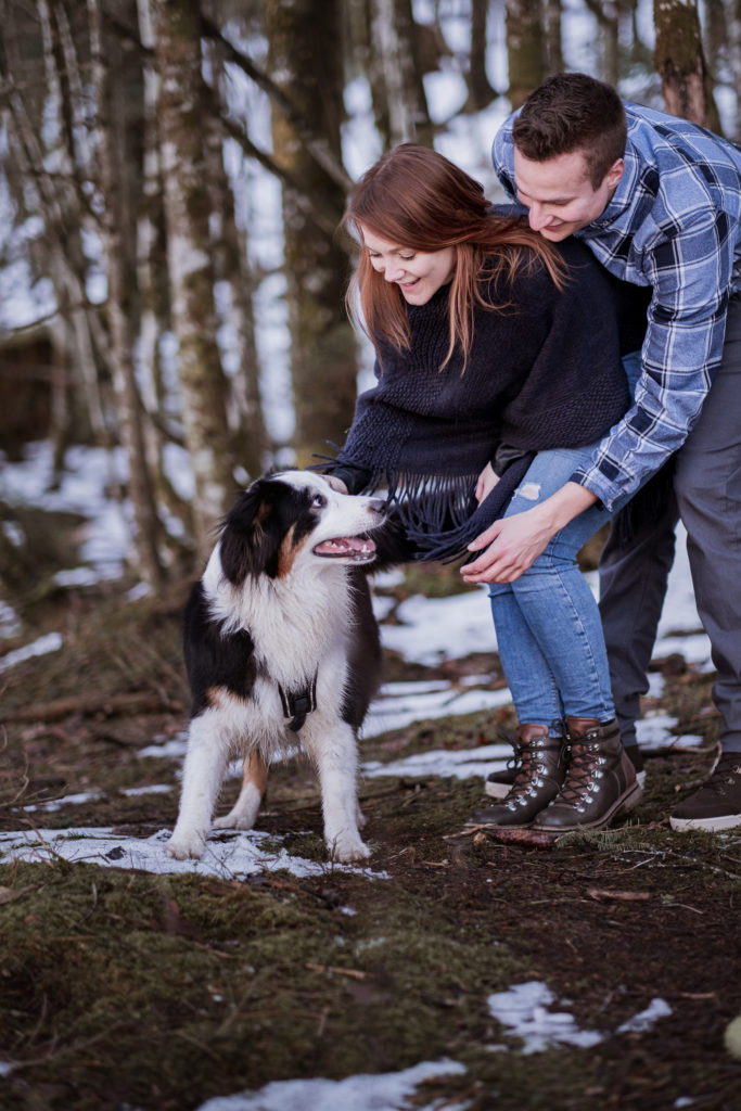 Noch ein Hund zieht ein