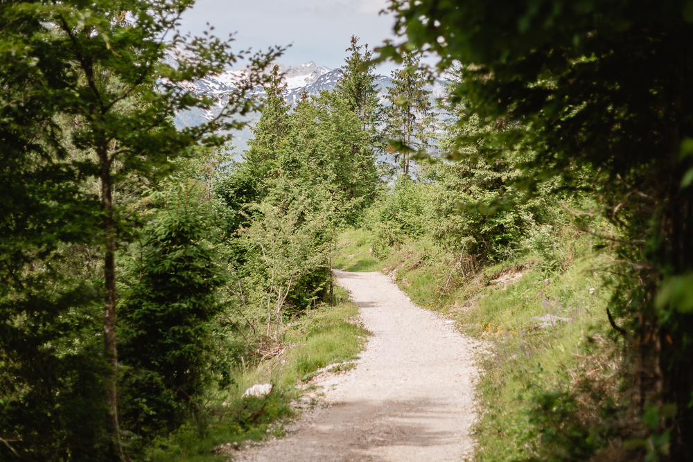 Weg um den Bohinjer See