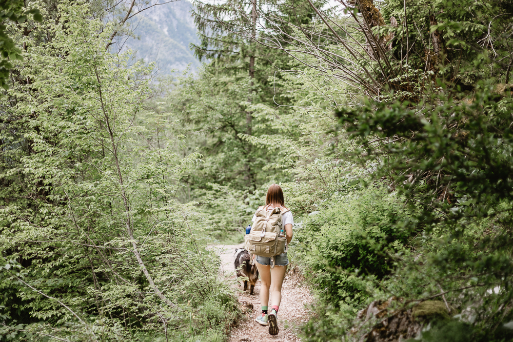 Wandern am Bohinjer See