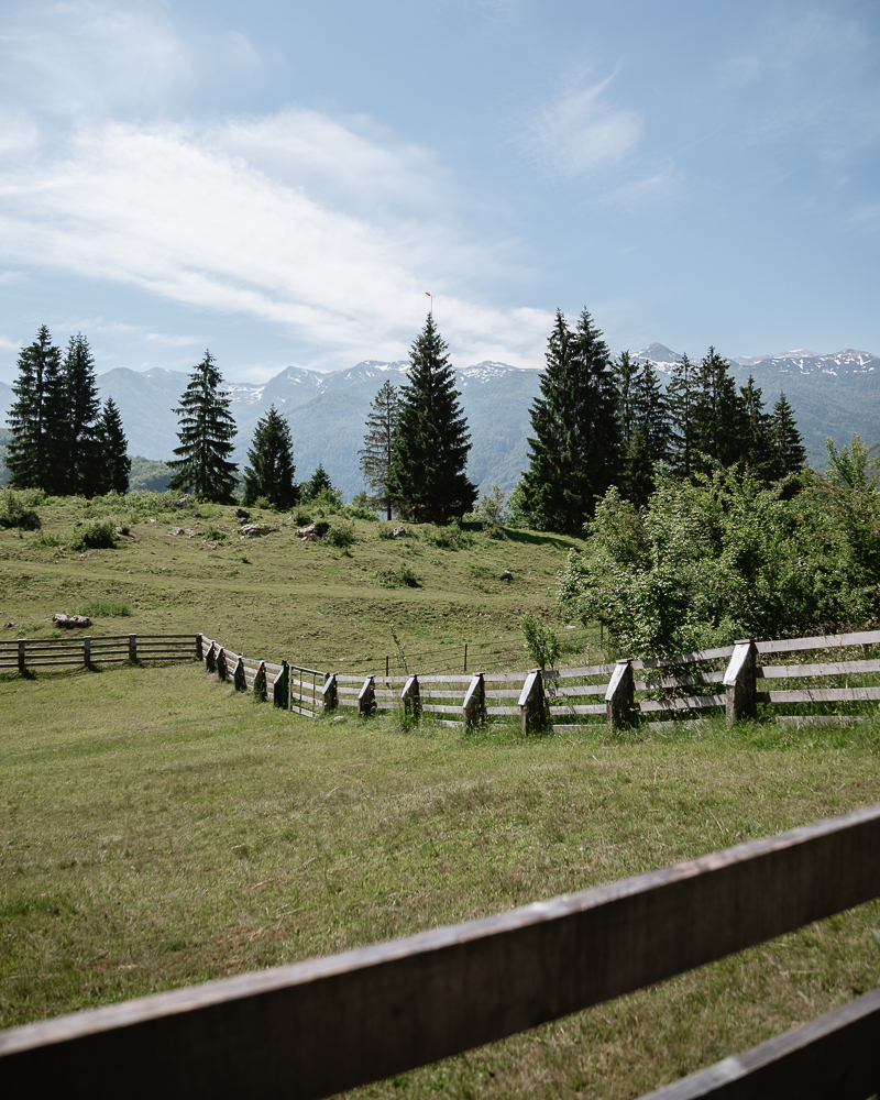 Umgebung Bohinj