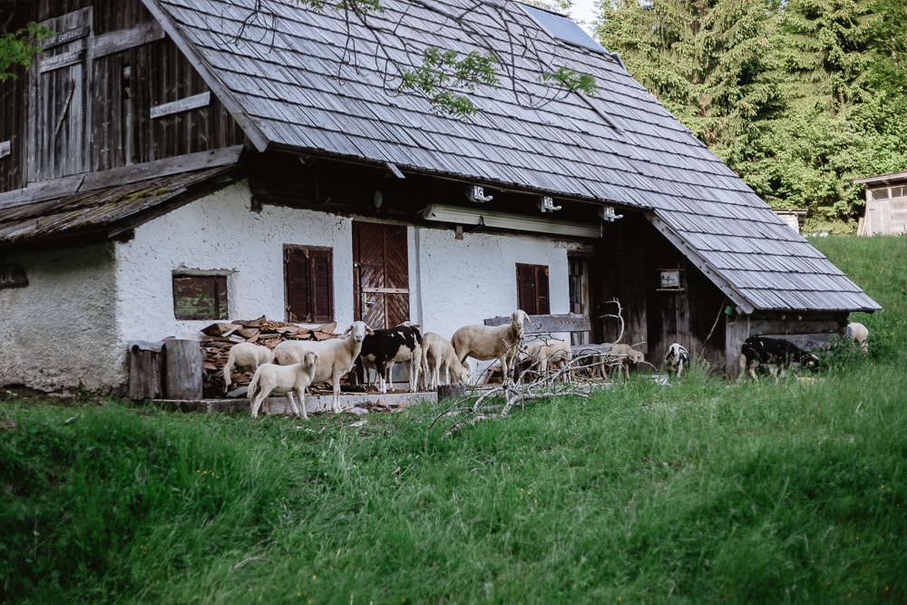 Hüttenurlaub