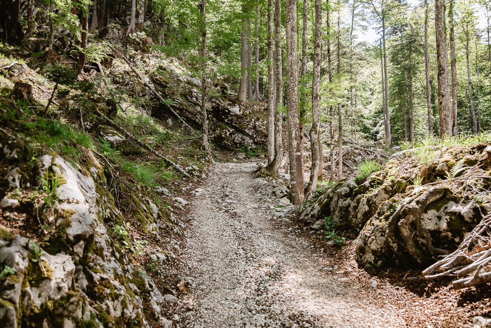 Wanderung Planina pri Jezeru