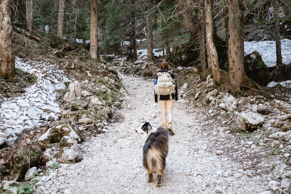 Wanderung Planina pri Jezeru