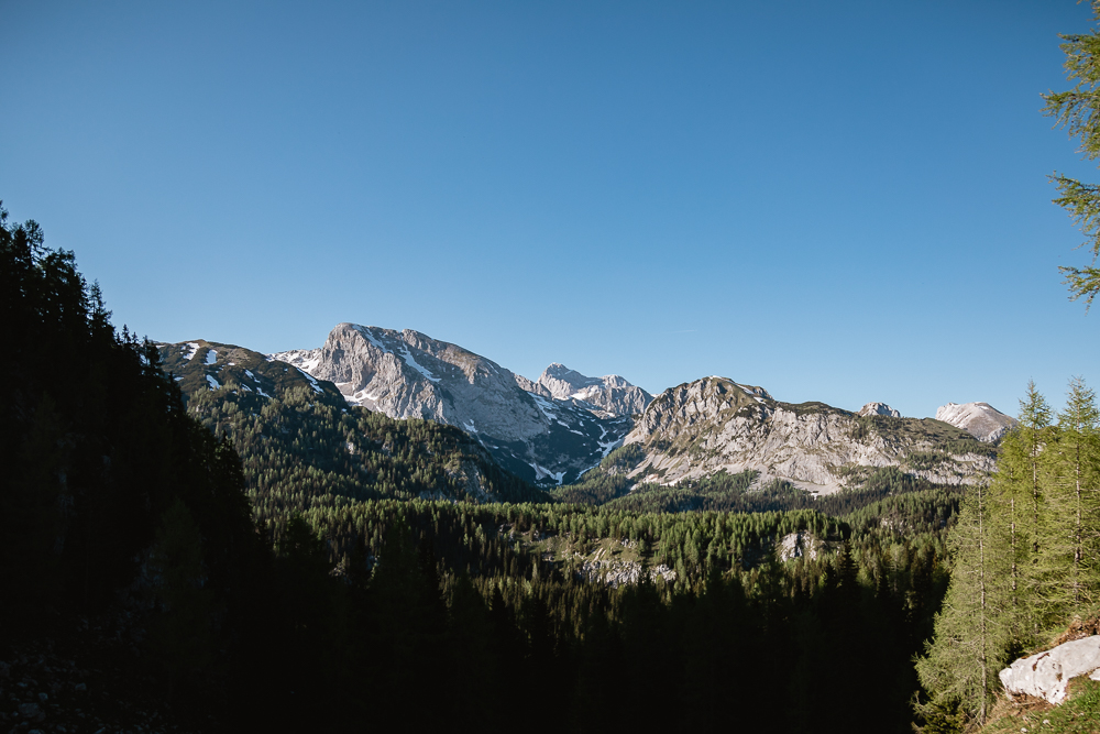 Alm Bregarjevo Zavetišče - Ausblick