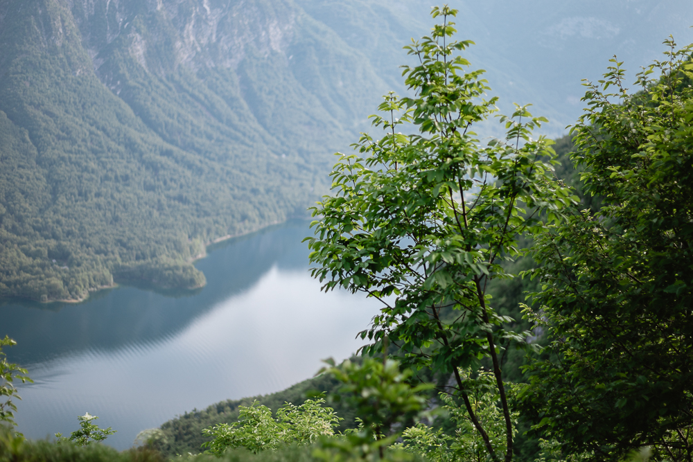 Aussichtspunkt Bohinjer See