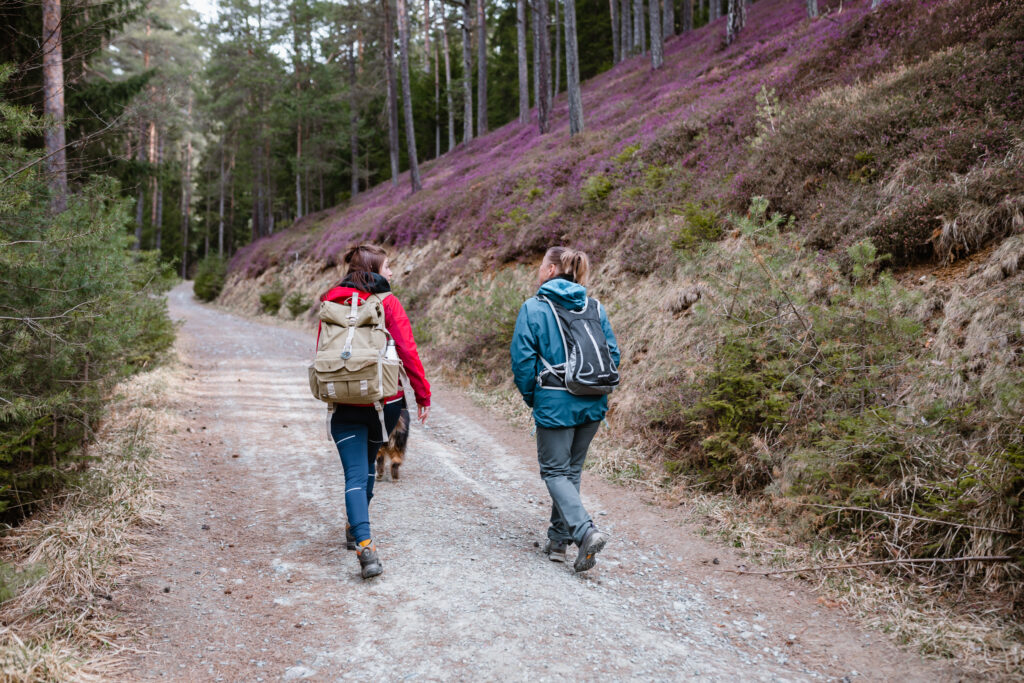 Wandern Hinterlobming