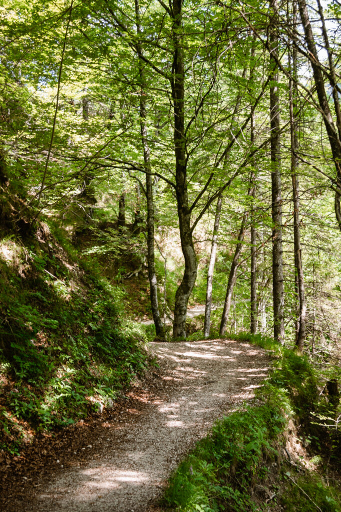 Weg zur Mostnica Schlucht