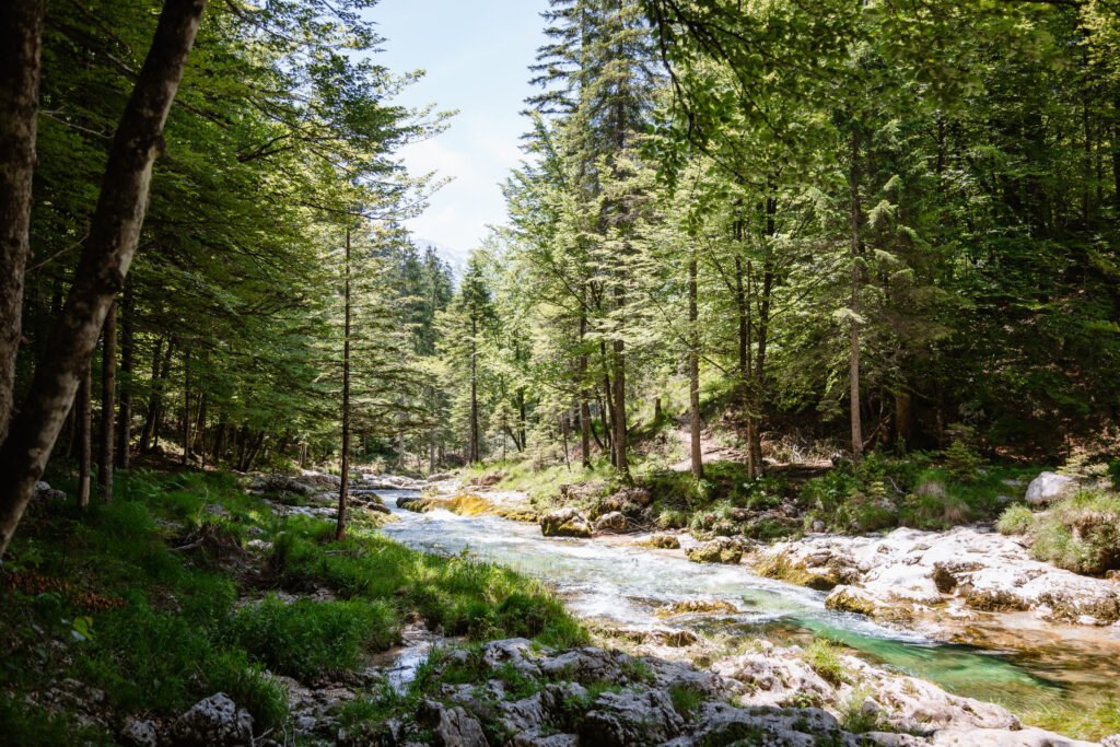 Durch die Mostnica Schlucht mit Hund