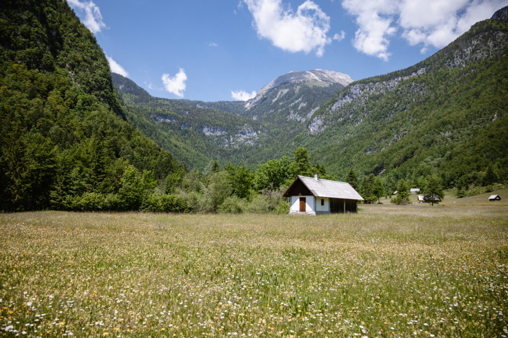 Das Voje Tal Triglav