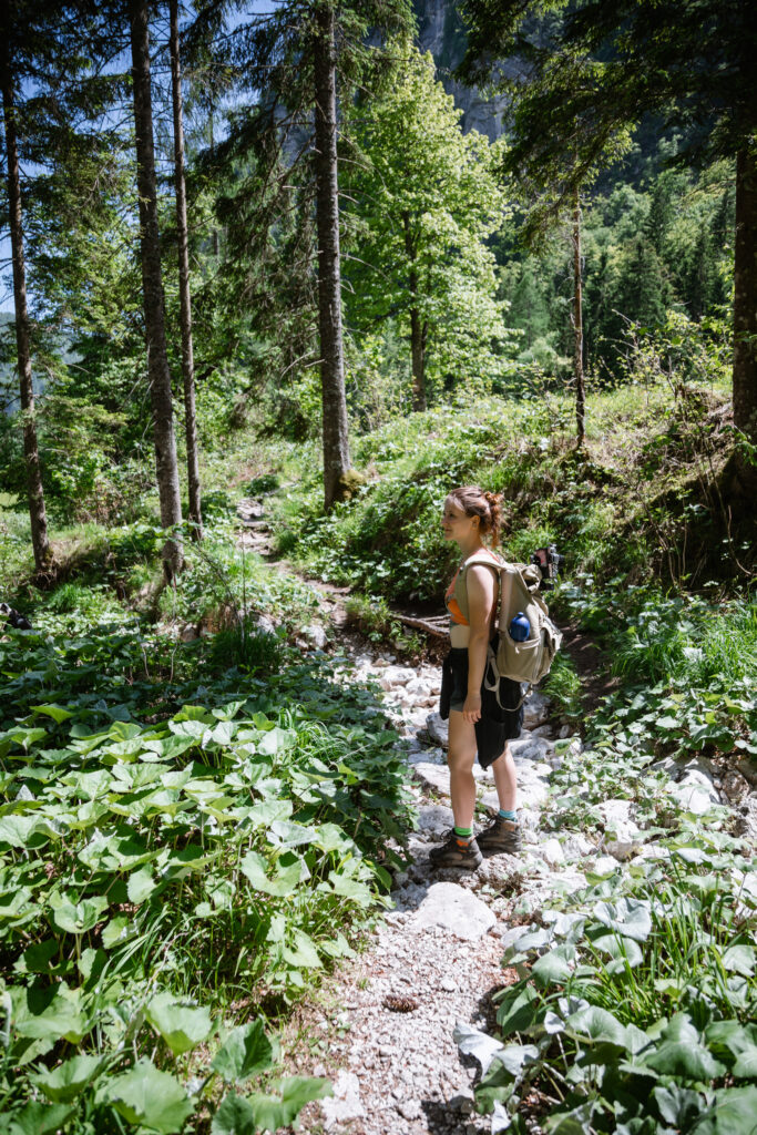 durch die Mostnica Schlucht