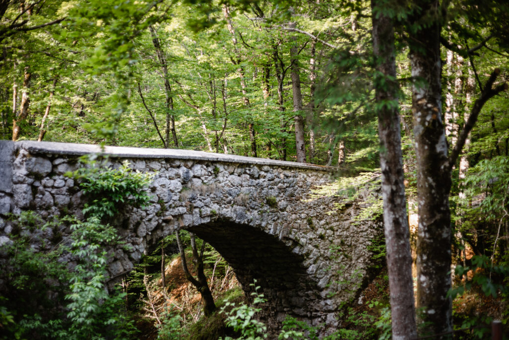 durch die Mostnica Schlucht