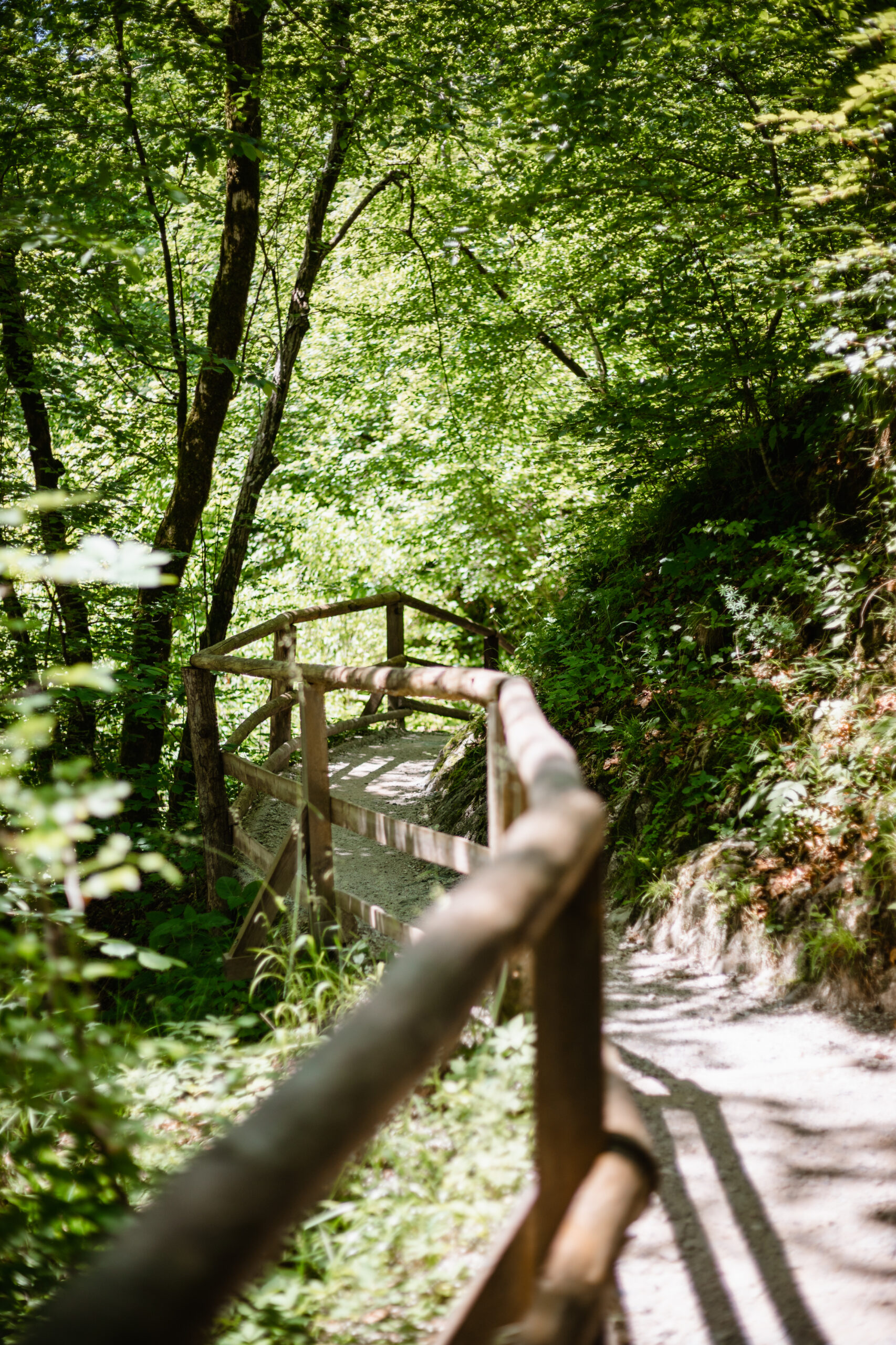 durch die Vintgar Schlucht