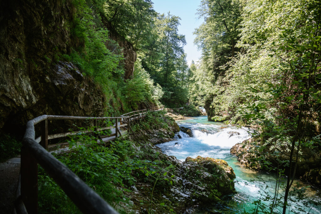 Vintgar Schlucht mit Hund