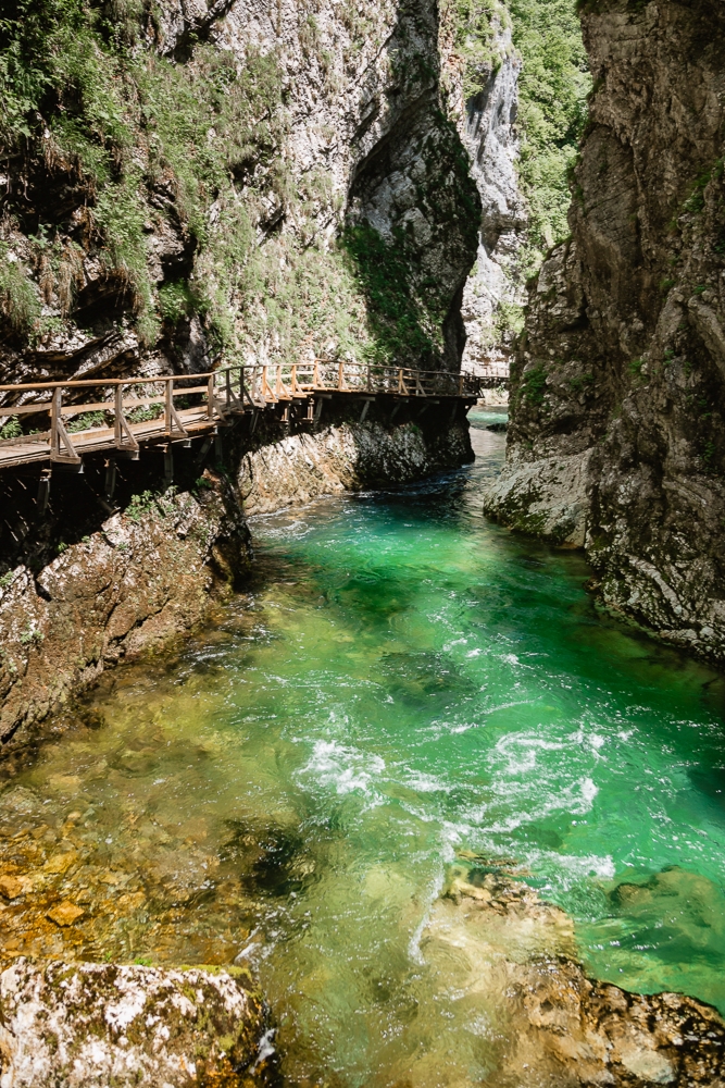 Vintgar Schlucht mit Hund