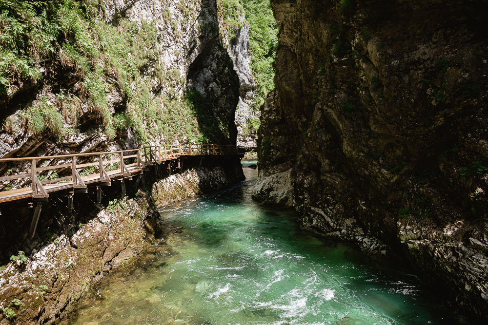 Vintgar Klamm mit Hund