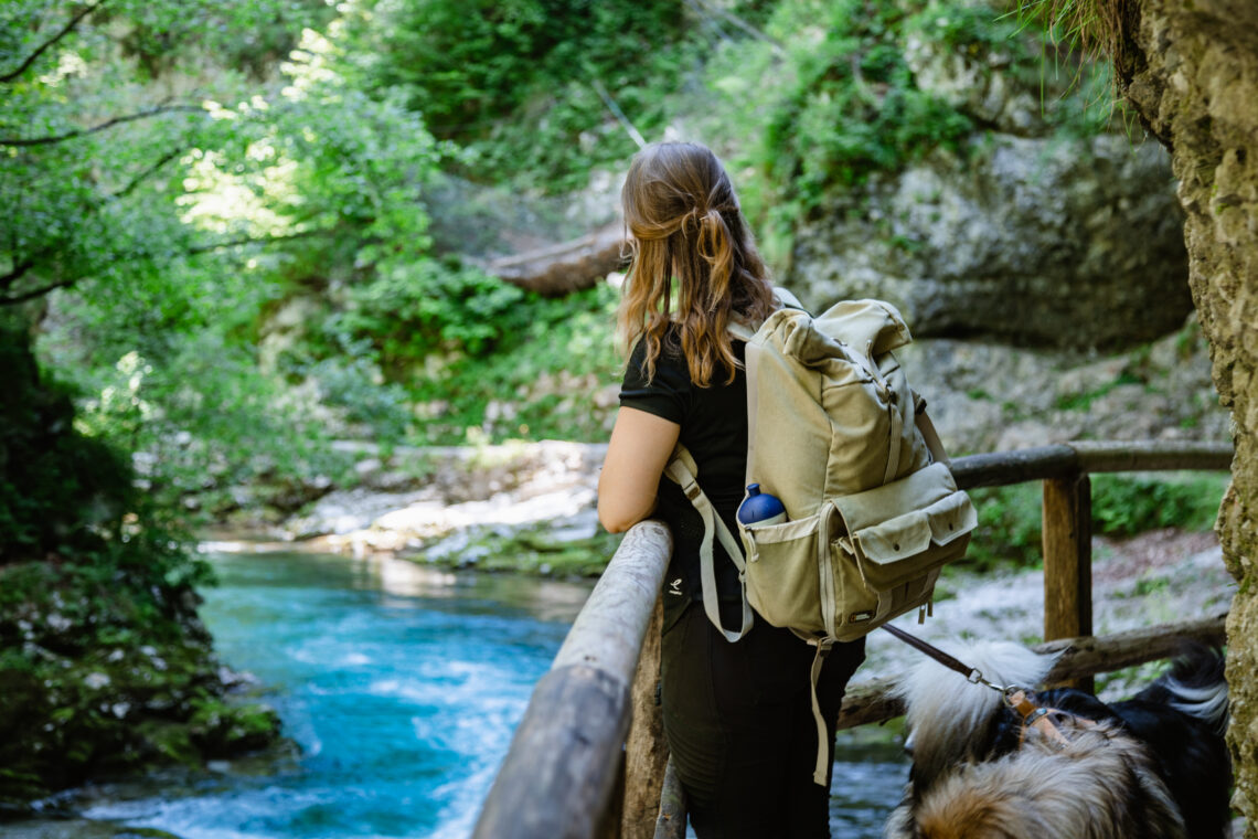 Vintgar Klamm Slowenien