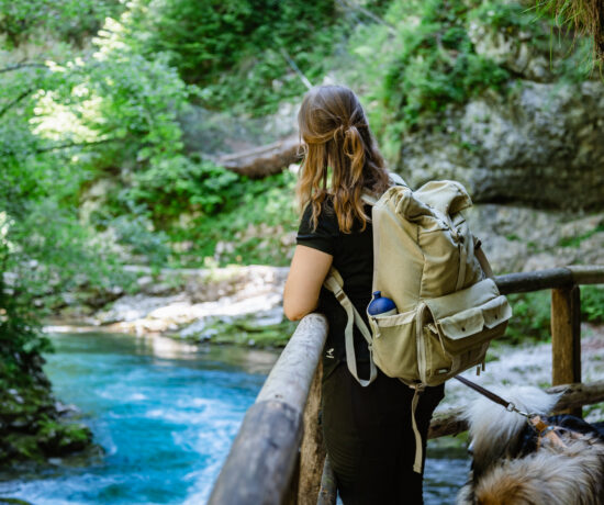 Vintgar Klamm Slowenien