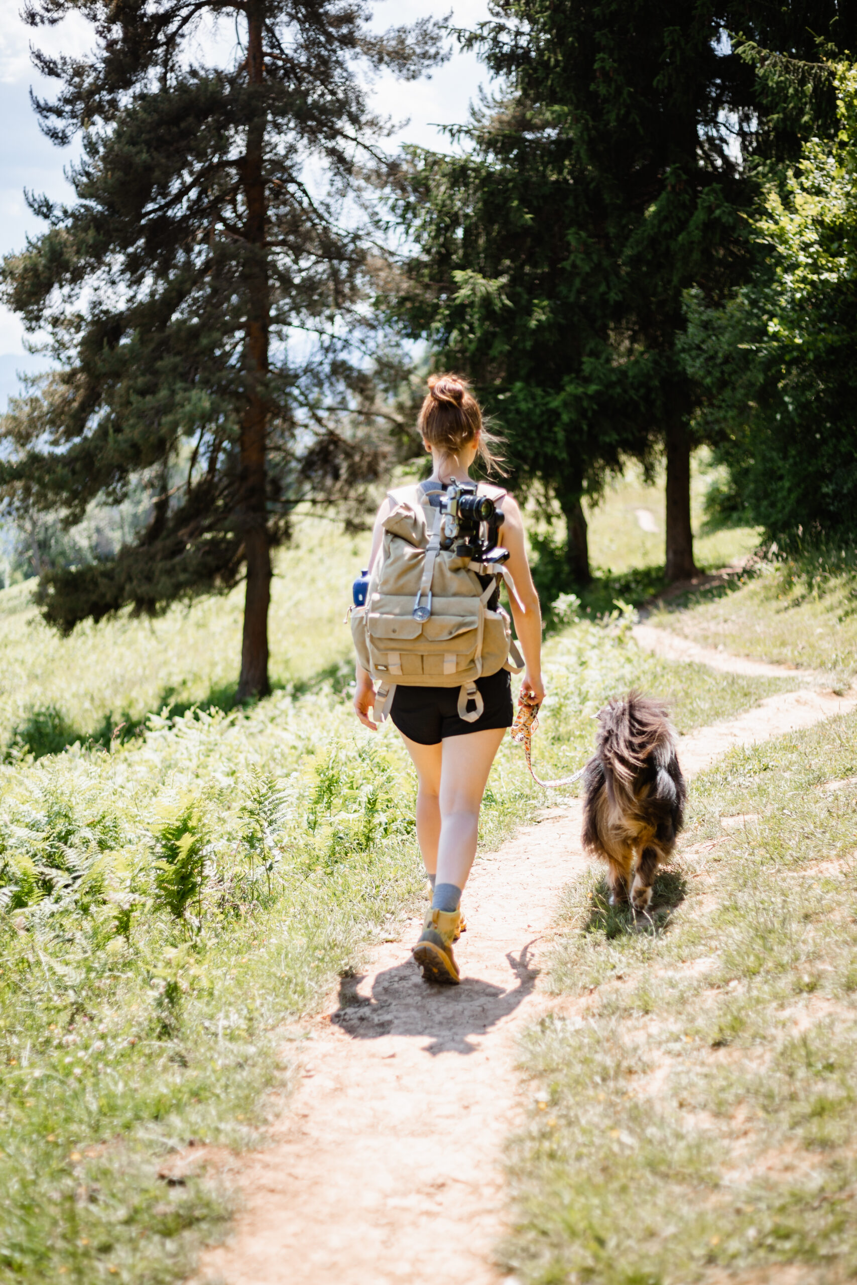 Wandern in Slowenien mit Hund