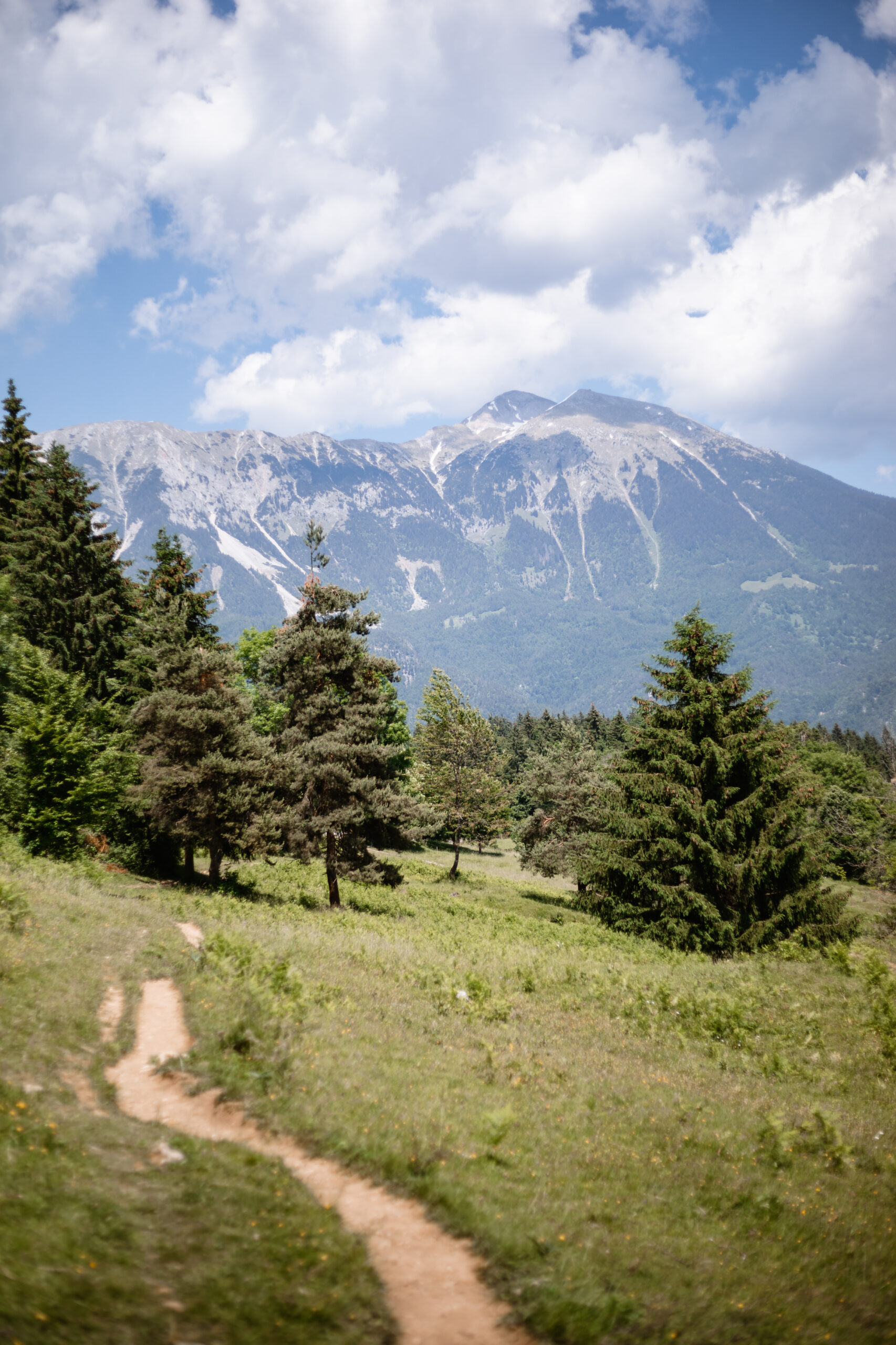 Wandern in Slowenien mit Hund