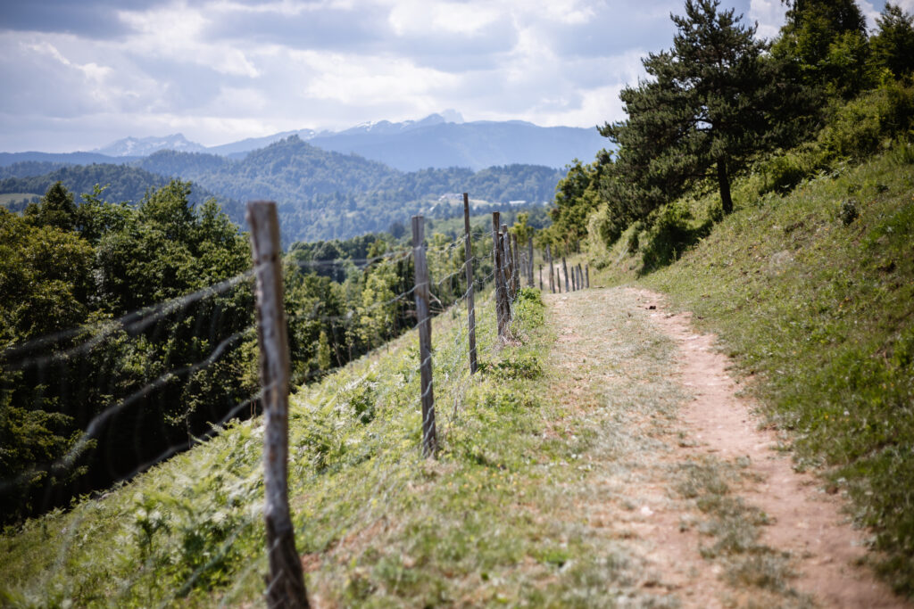 Vintgar Schlucht Rundweg