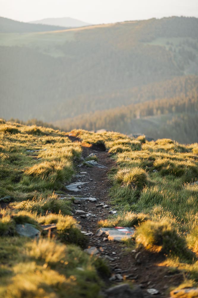 Wanderung Rappoldkogel