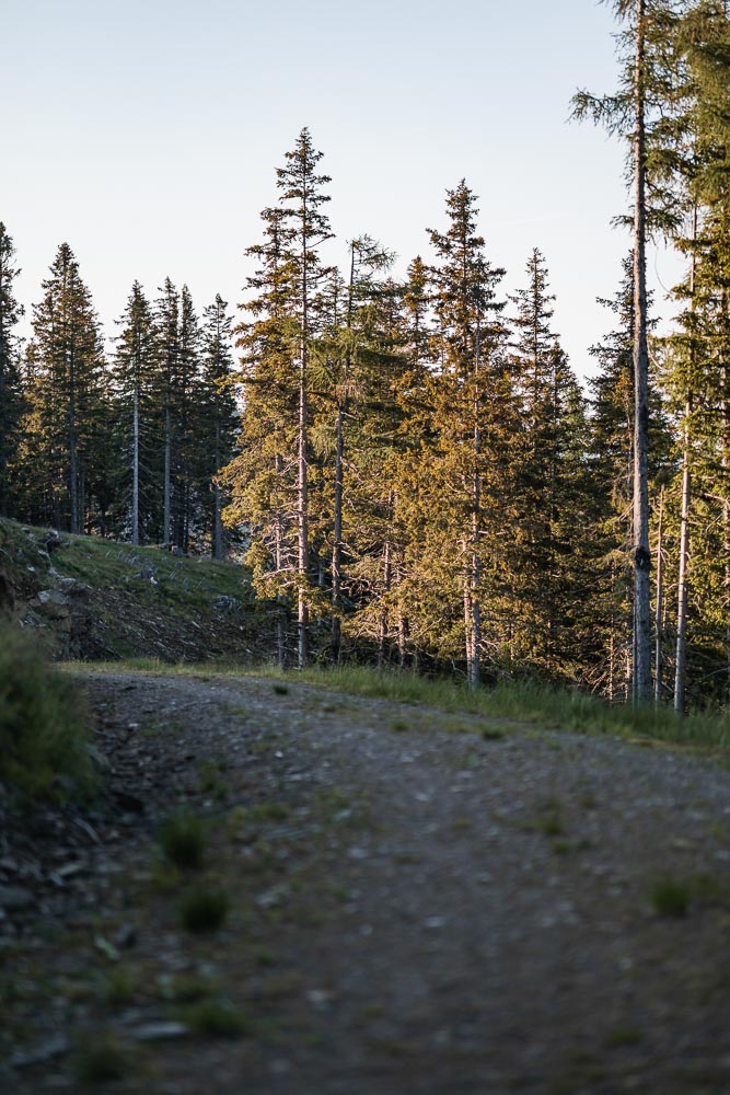 Wandern Salzstiegl