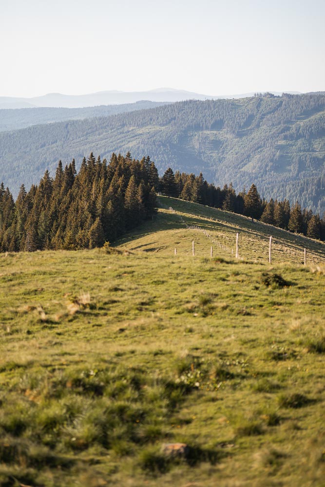 Wandern Salzstiegl