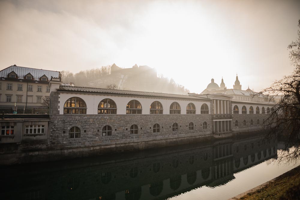 Ljubljana - Slowenien mit Hund