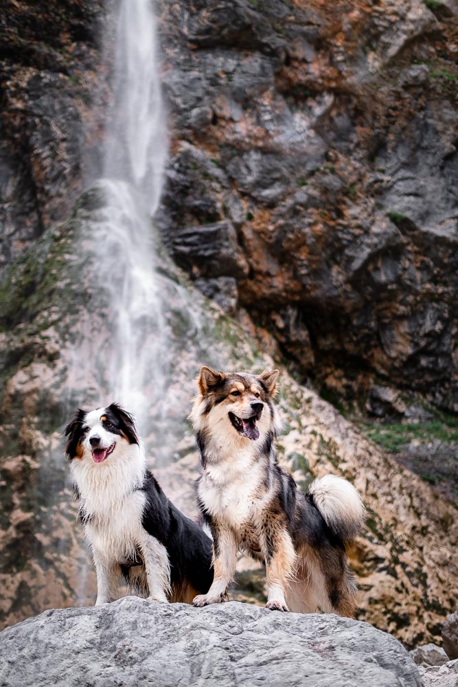Rinka Wasserfall mit Hund