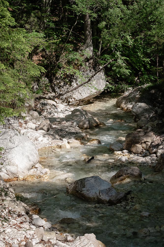 Bacherl im Krnica Tal