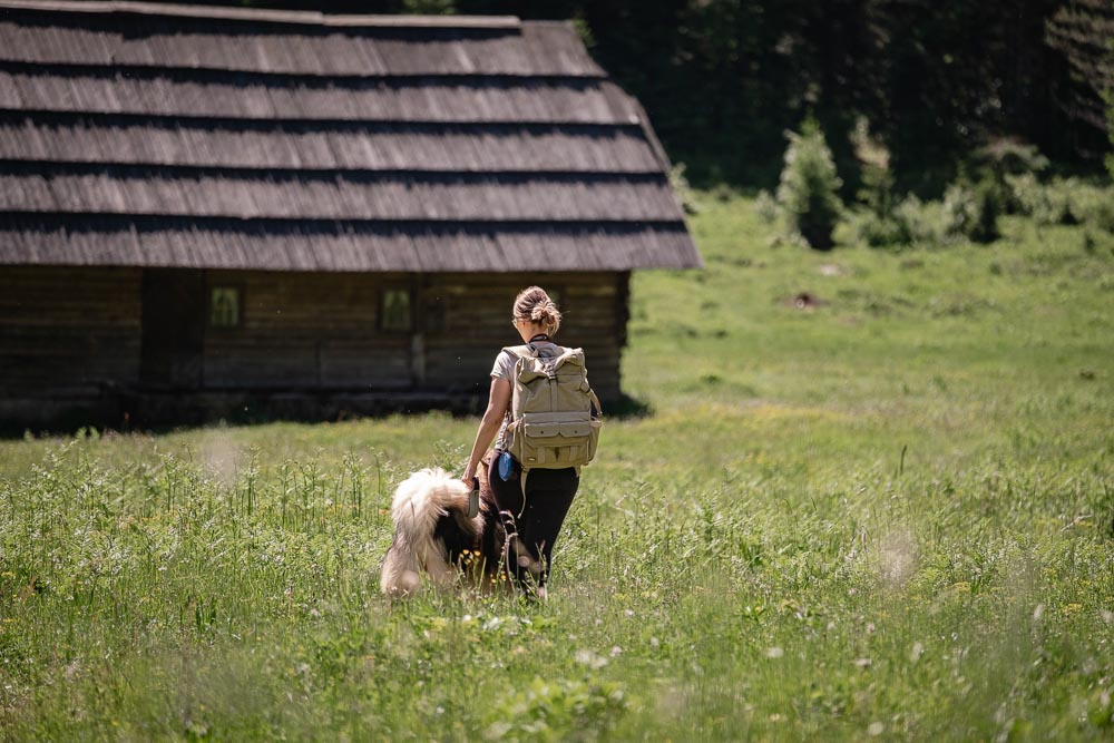 Wanderung zur Krnica-Hütte mit Hund