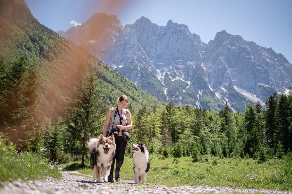 Wanderung zur Krnica-Hütte mit Hund