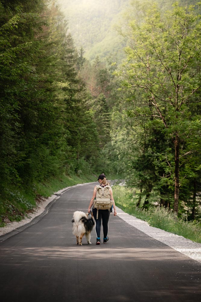 Soča-Trail mit Hund