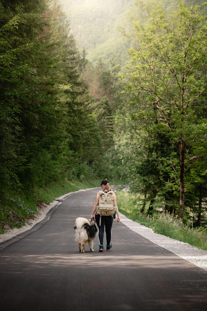 Soča-Trail mit Hund