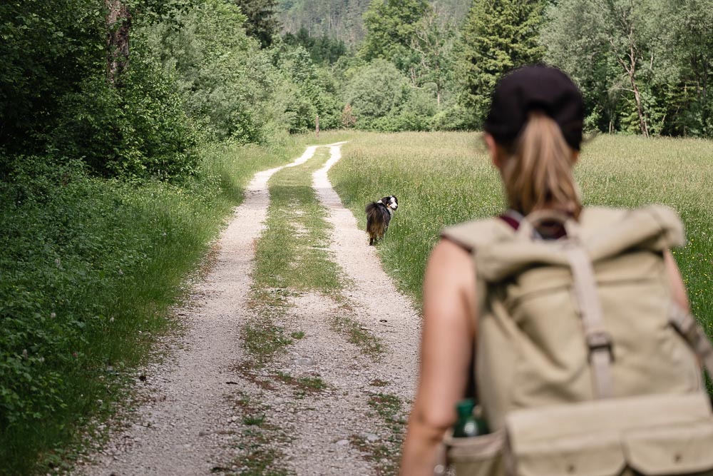 Soča-Trail mit Hund