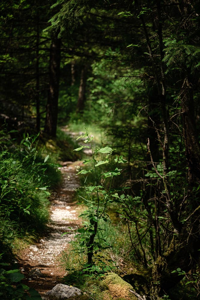 Soča-Trail