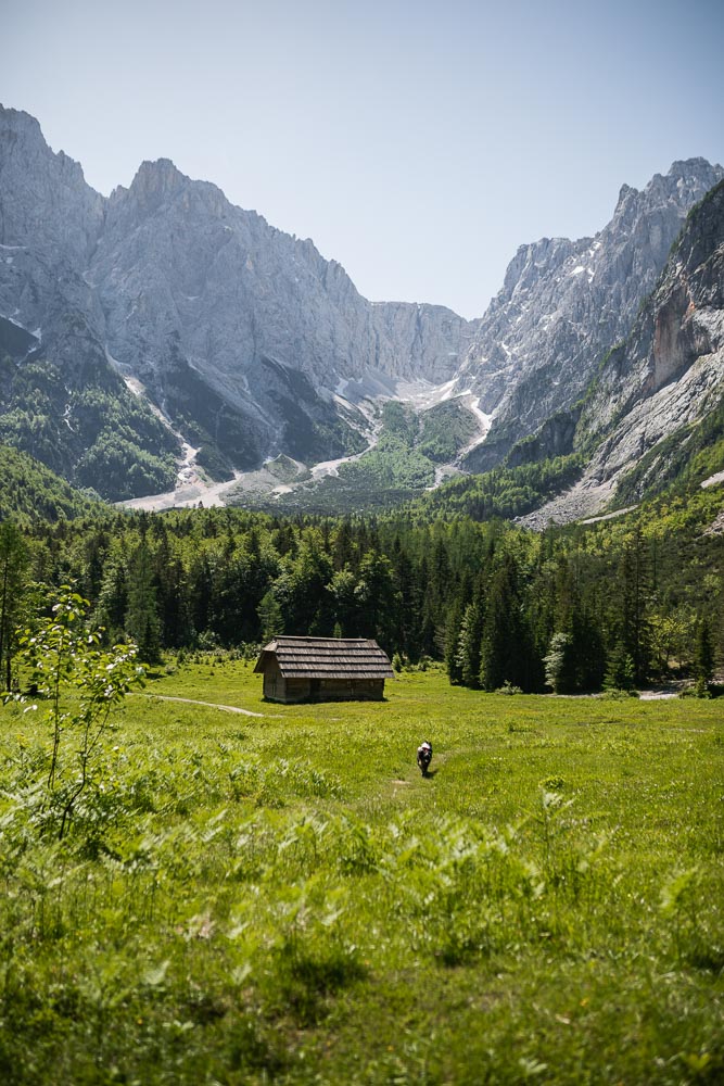 Wanderung zur Krnica-Hütte