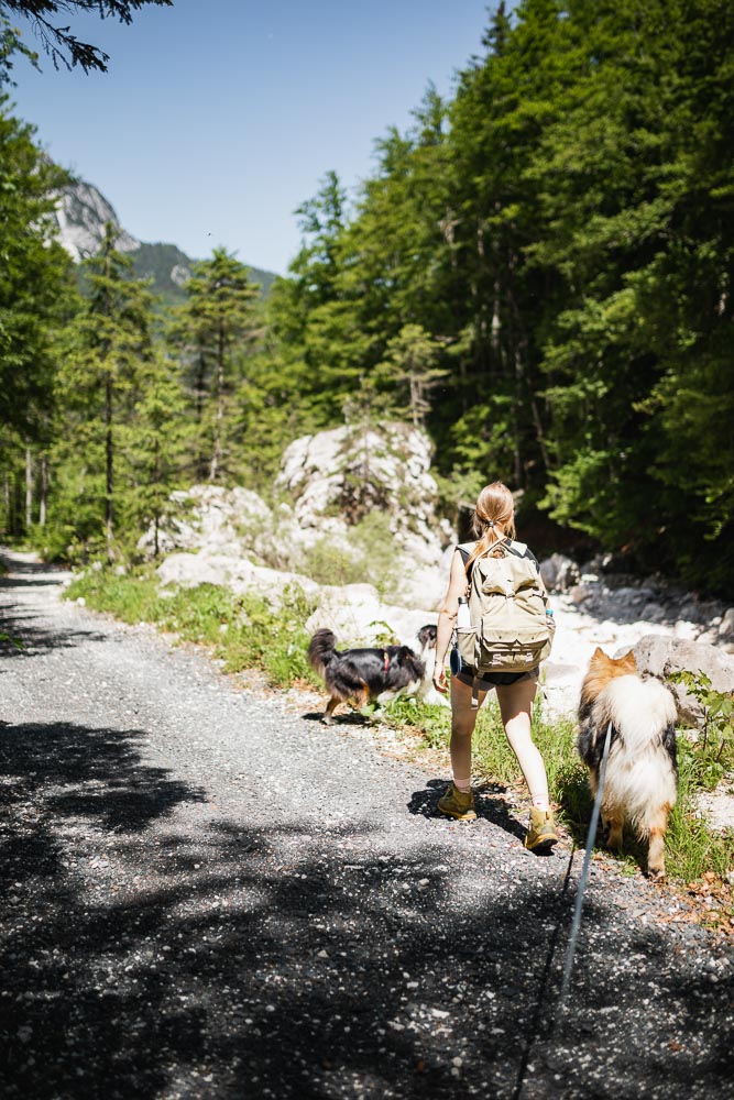 Wanderung zur Krnica-Hütte