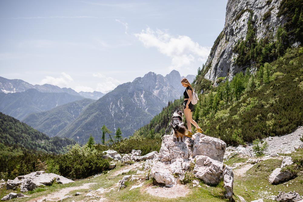 Slowenien mit Hund Vrsic Pass
