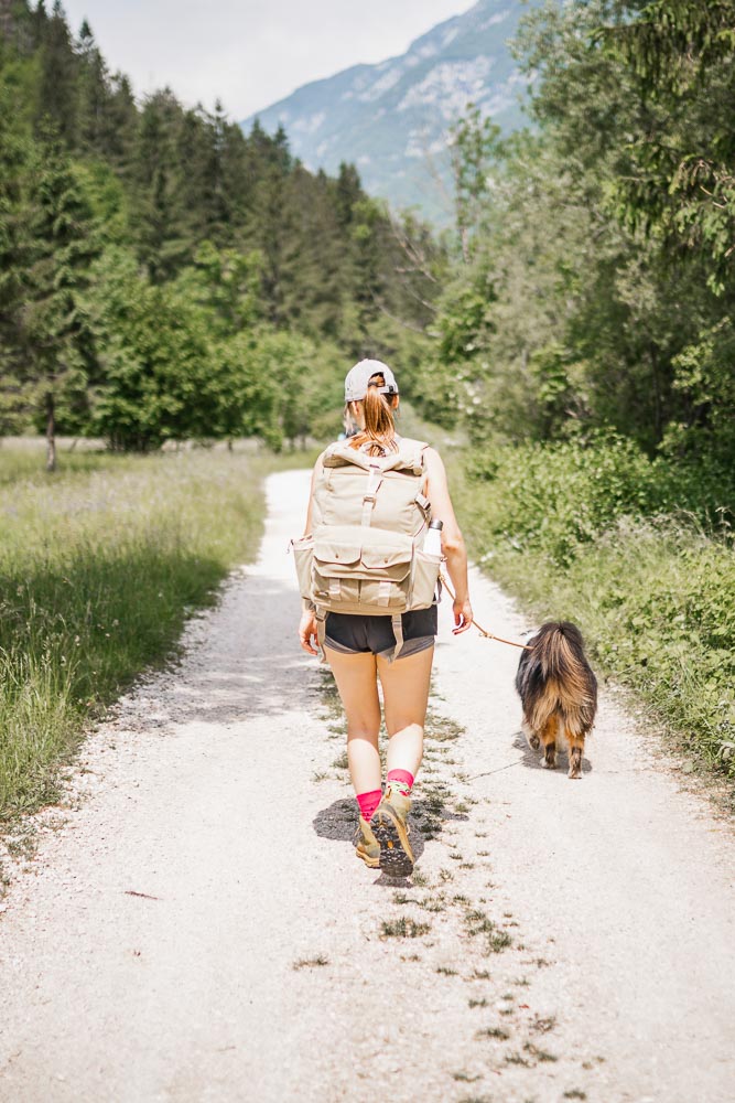 Soča-Trail mit Hund