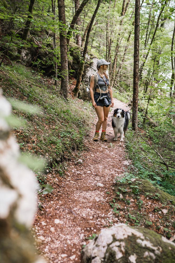 Die Soča in Slowenien mit Hund